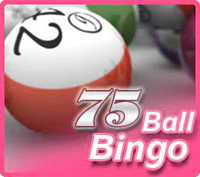 Bingo boules